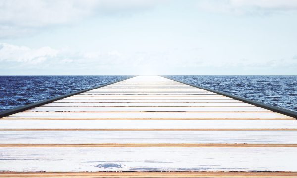 header-steg